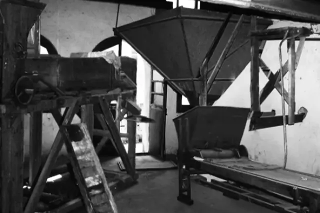 Inicios del negocio familiar